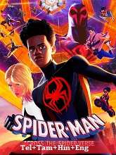 Spider-Man: Across the Spider-Verse